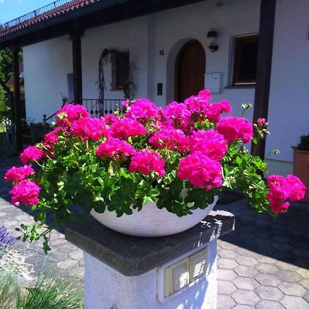 Haus Saentisblick Apartment Eriskirch Exterior photo
