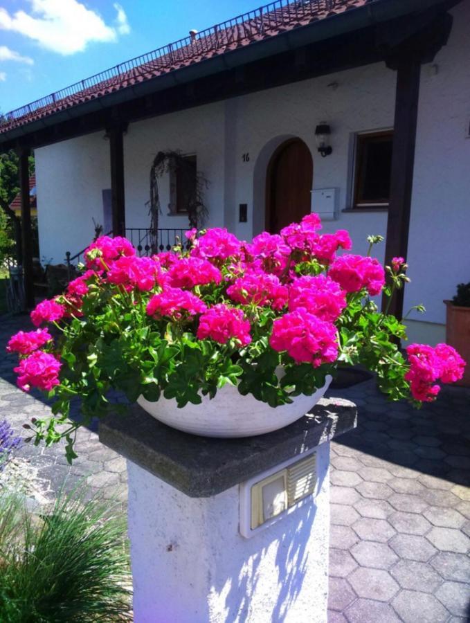 Haus Saentisblick Apartment Eriskirch Exterior photo